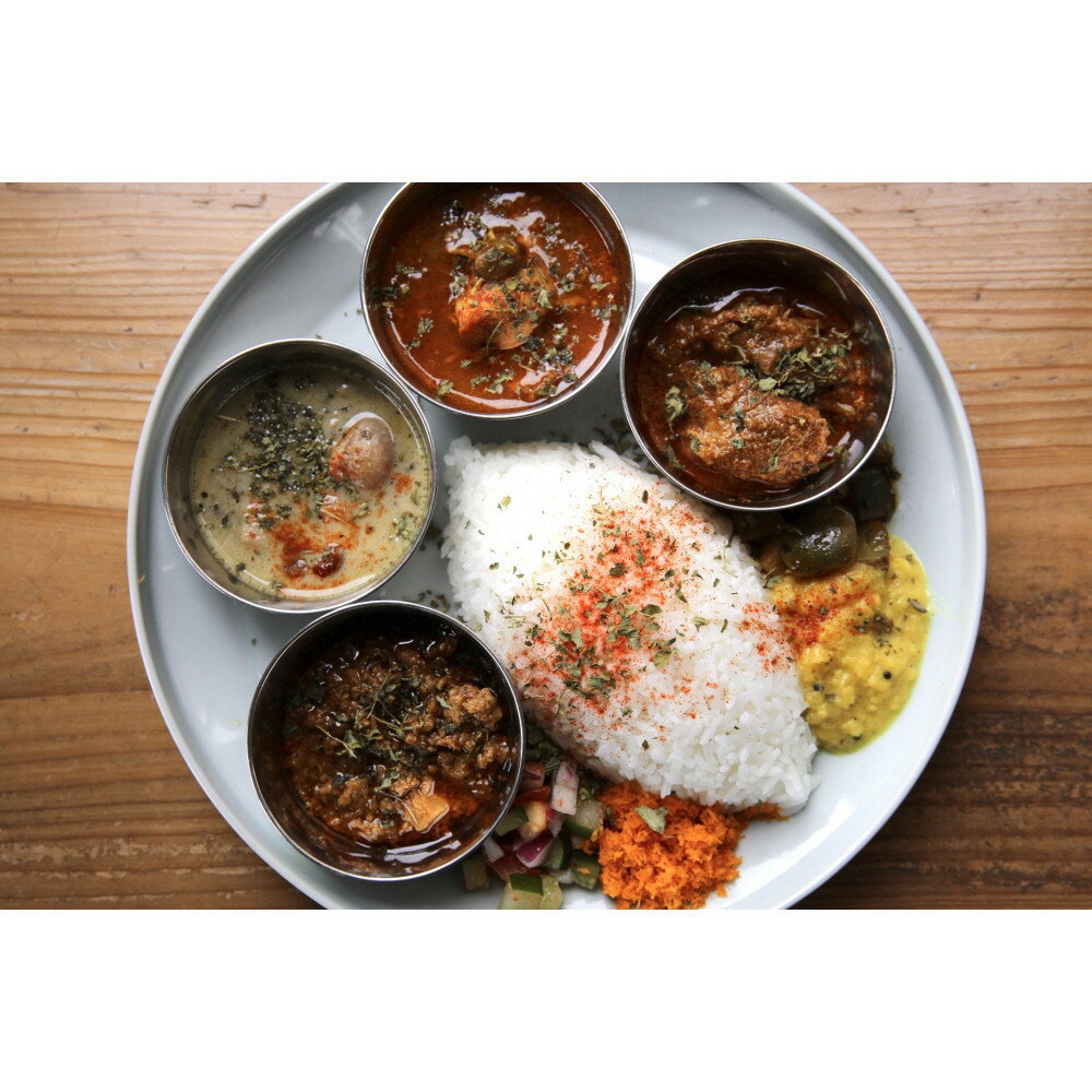 【ふるさと納税】カレーライフの冷凍スパイスカレー4種 計9食セット | 食品 加工食品 人気 おすすめ 送料無料