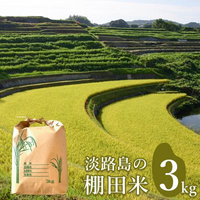 ふるさと納税 淡路市 淡路島の棚田米 3kg　精米 白米　ae01076