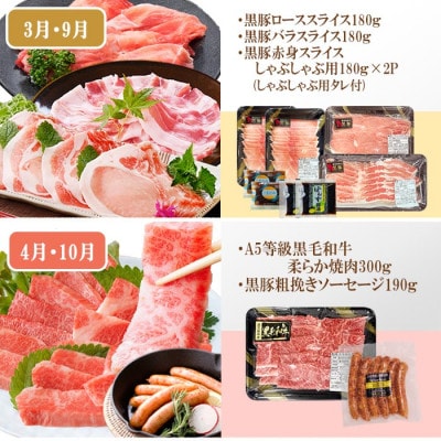 定期便(6回)黒毛和牛・黒豚etc FF-0061【配送不可地域：離島】