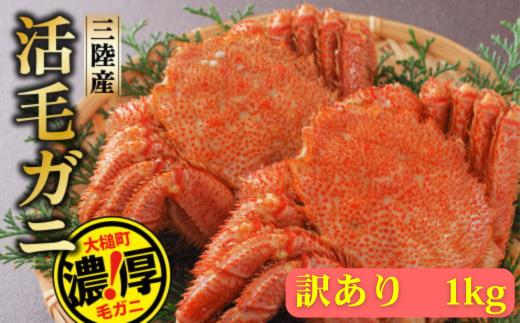 【期間限定2月～4月発送】訳アリ三陸産活毛ガニ 1kg 【35】天然 国産 冷蔵 三陸 直送 濃厚 かに 蟹 カニ 毛ガニ 毛蟹 毛がに 初栄丸