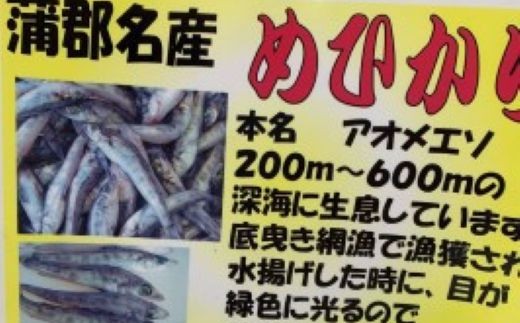 蒲郡海鮮市場 蒲郡産 めひかりの唐揚げセット_【G0767】