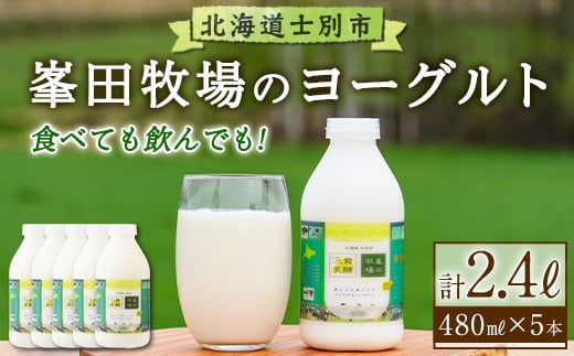 
            【B7014】北海道士別市 峯田牧場のヨーグルト(480ml×5本) ヨーグルト 乳酸菌 飲むヨーグルト 乳製品 朝食 北海道 士別市 【峯田牧場】
          