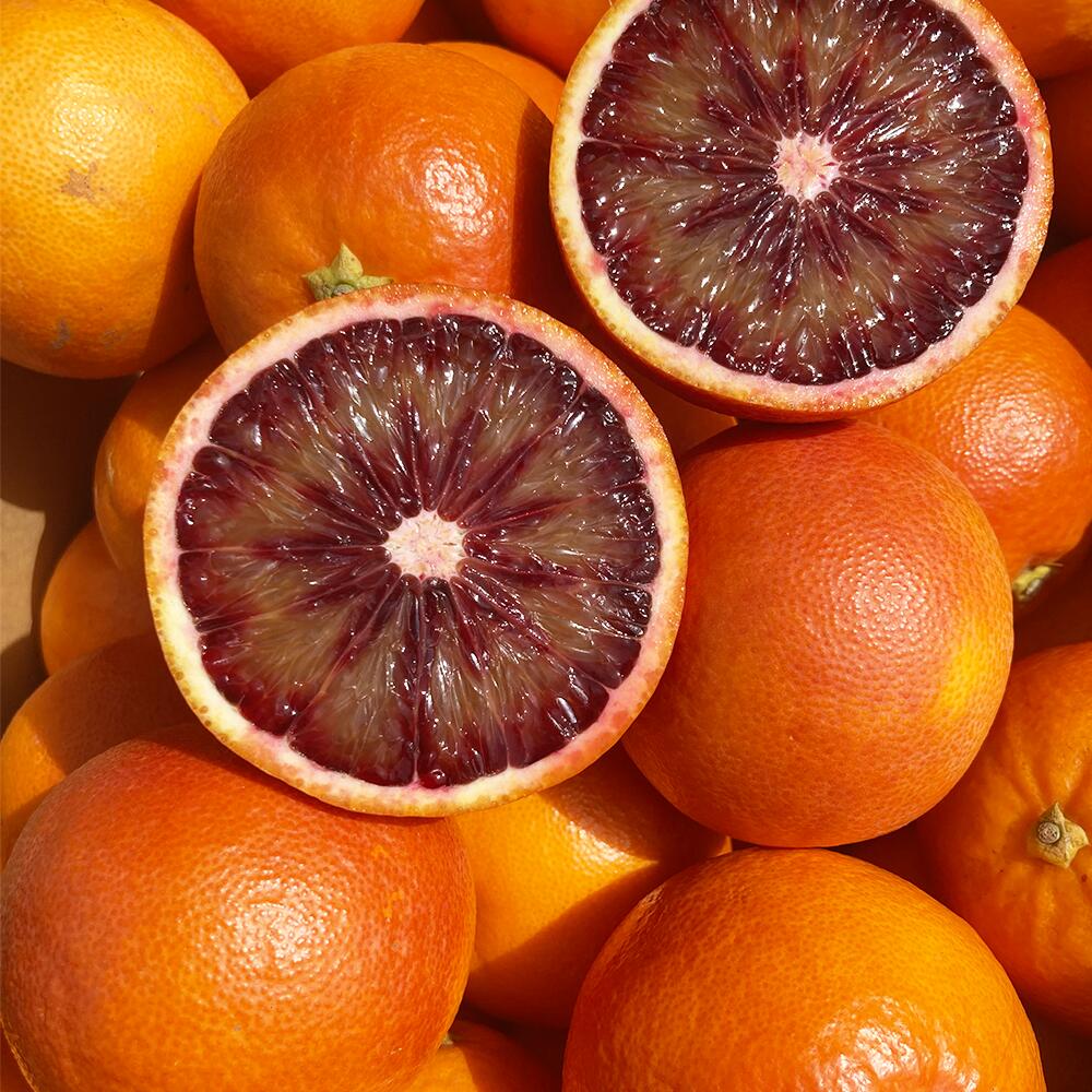 【ふるさと納税】 熊本産 ブラッドオレンジ 4kg 前後 果物 フルーツ 柑橘類 九州 ギフト 贈答 送料無料 【2026年2月下旬～4月上旬迄順次発送予定】