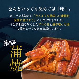 浜名湖・うなぎのたなかのふっくら柔らか国産うなぎ!特大長蒲焼3本、カット(小)1枚※合計595g程度【配送不可地域：離島】【1417594】