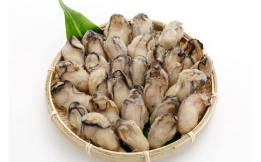冷凍スチーム牡蠣 1kg｜蒸し牡蠣 冷凍 加熱用 かき カキ 大粒 1粒ずつ 急速冷凍 広島県産 むき身 剥き身 むきかき 殻むき不要 便利 人気 おすすめ 一年中旬の味 貝 シーフード オイスター 海産物 海鮮 魚介類 海の幸 海のミルク 濃厚 おおたけカキ 広島 大竹 玖波 宮島 瀬戸 国産 産地直送 [1741]