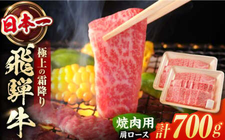 飛騨牛 焼肉用肩ロース 計700g  白川町 / 浅井商店[AWBJ002] 飛騨牛