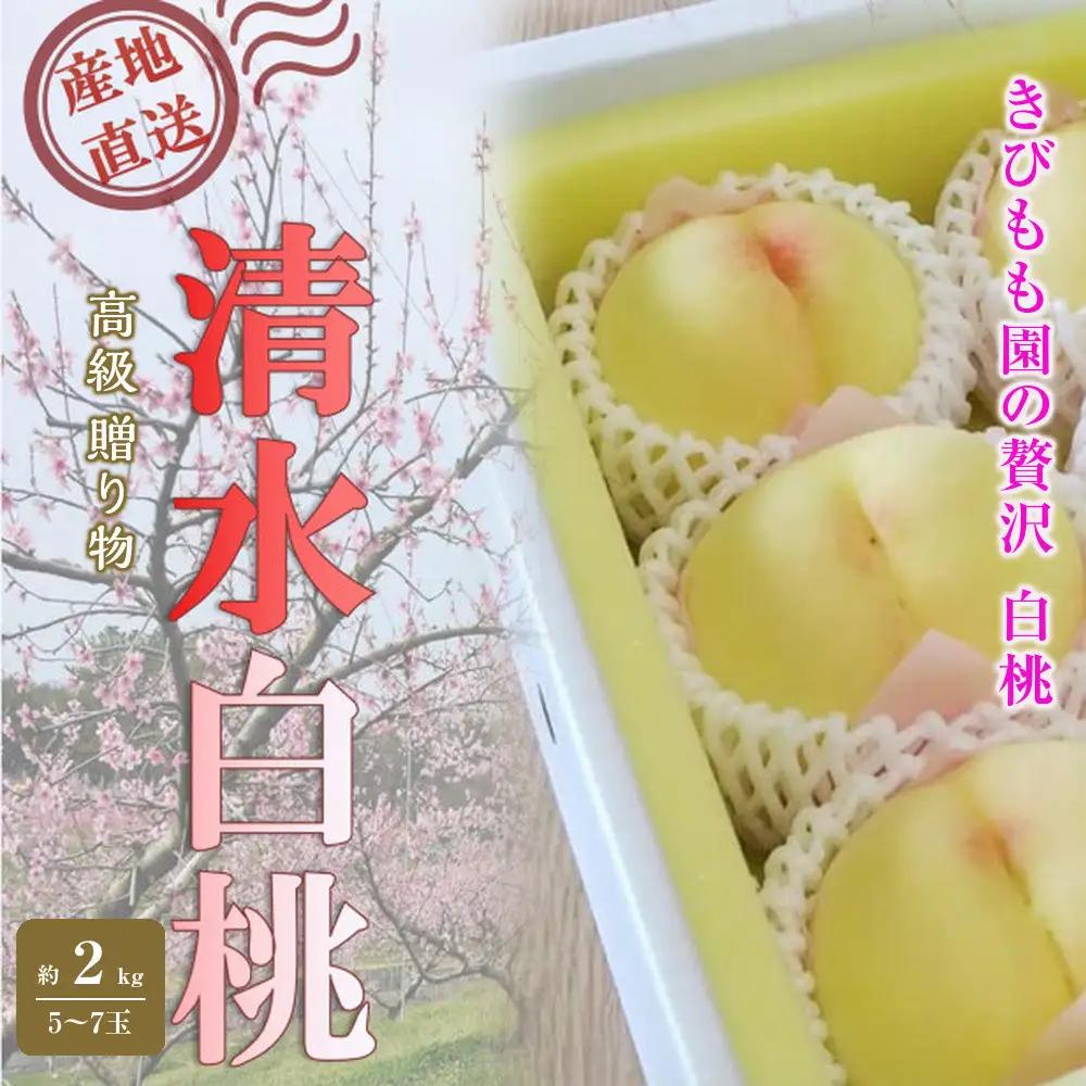 桃 2027年 贈答用 岡山 清水 白桃  約2kg（5～7玉） もも 