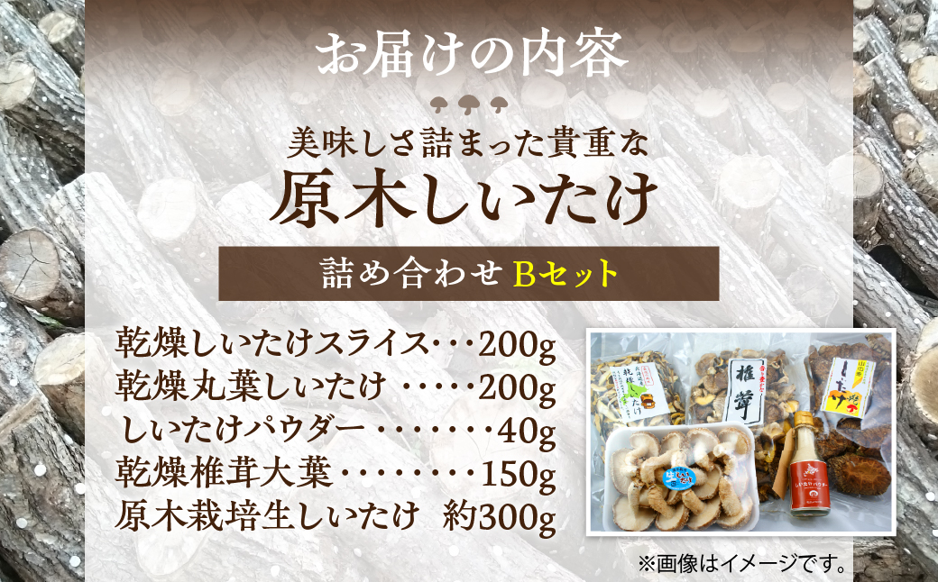 美味しさ詰まった貴重な原木しいたけ詰め合わせ　Bセット MKWN002