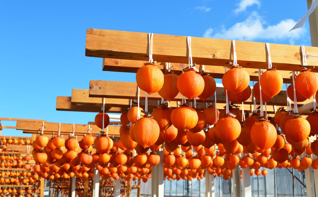 【 美濃加茂市長賞受賞 】 岐阜特産 「 堂上蜂屋柿 」 3個