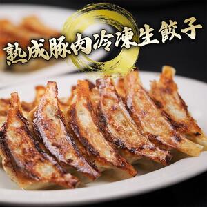 【マルシン飯店】京都・超行列店の熟成豚肉餃子40個入り(20個×2箱)［ 京都 中華 行列店 餃子 人気 おすすめ 点心 お惣菜 お取り寄せ 通販 ふるさと納税 ］