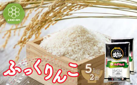 令和7年産 北海道産 ふっくりんこ 精米 計10kg（5kg×2袋）  特Aランク  白米 米農家応援 NAA003