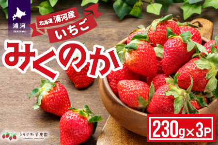 【先行受付開始！】北海道浦河産いちご「みくのか」230g×3P[13-1430]