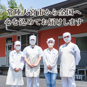 奥久慈めん 10束入り 6ヶ月 定期便 うどん 乾麺 【（有）中橋製麺所】【ho1608】