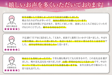 甲州自慢の桃 2kg (5～8玉入り)【2024年発送】（NK）B12-421