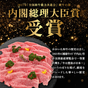 A01101　百年の恵み　おおいた和牛A5　しゃぶしゃぶ用【厳選部位】約400ｇ