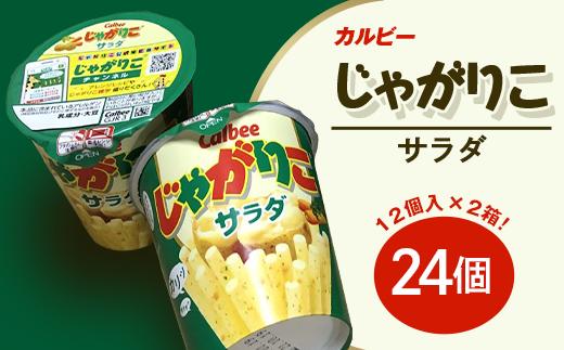 
            カルビーじゃがりこサラダ2箱（24個）【下妻工場産】【 お菓子 おやつ ポテト じゃがいも 人気 ふるさと納税 サラダ味 】
          