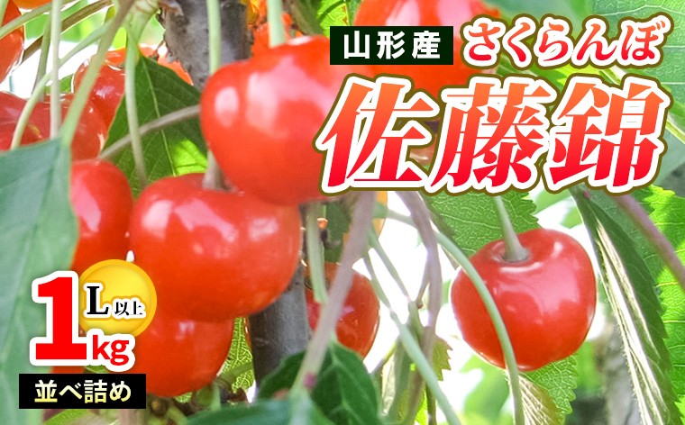 
            山形産 さくらんぼ佐藤錦 特秀 1kg 並べ詰め L以上 【令和8年産先行予約】FS25-502 くだもの 果物 フルーツ 山形 山形県 山形市 2026年産
          