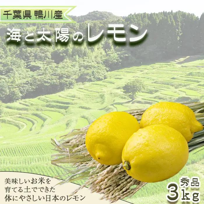《12月発送》【皮まで食べられる】海と太陽のレモン【秀品】３kg（約25個） [0011-0057]