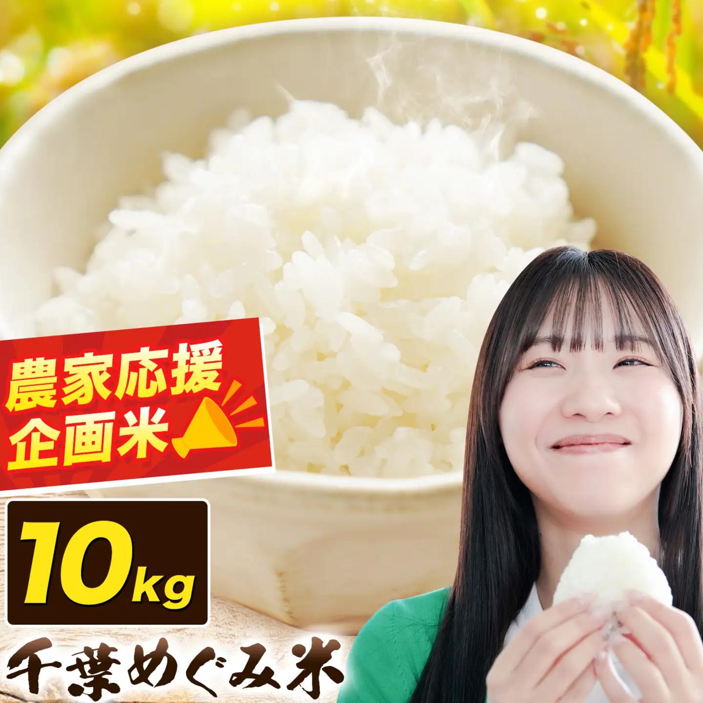 米 白米 千葉めぐみ米 10kg 千葉県産