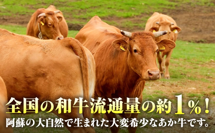 あかうし  カルビ  やきにく 焼きにく あか牛 赤牛 肉 にく niku ブランド 旨み 熊本県 菊陽町 定期便