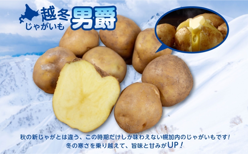 北海道産 訳あり 越冬 じゃがいも 男爵 M～2L 約10kg ジャガイ