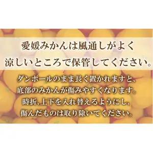 【愛媛みかん】 3kg みかん