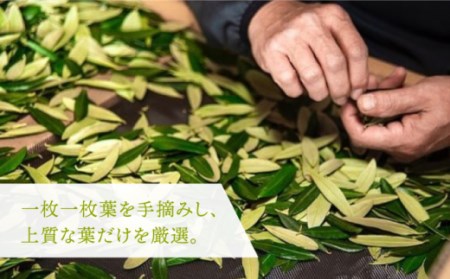 【全12回定期便】オリーブリーフパウダー [JDU011] 定期便 オリーブリーフ オリーブ 健康 ポリフェノール 120000 120000円 12万円 コダワリオリーブ こだわりオリーブ おすすめ