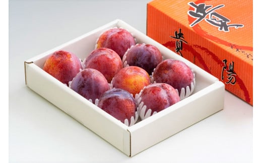 画像はイメージです。外装箱や梱包方法は出荷農家によって異なります。予めご承知おきください。