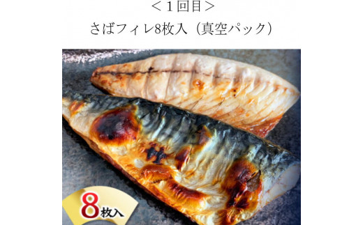 【全4回】困った時の1品に！＼晩ご飯直行／絶品おかず定期便（さば・鰻・サケ・海鮮丼）/定期便 サバ 鮭 うなぎ【tkb304】