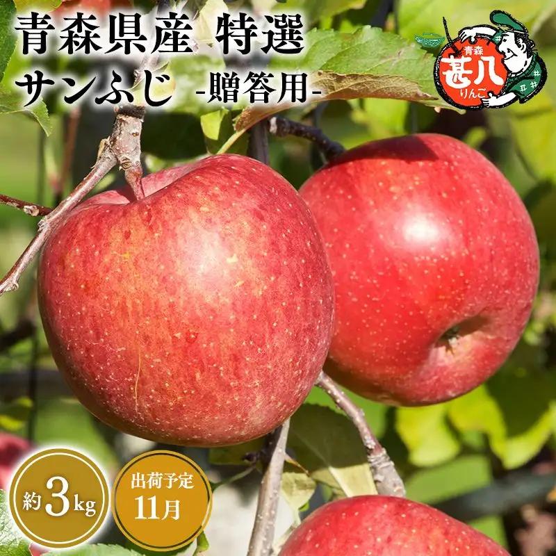 りんご 特選 サンふじ３kg りんご