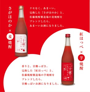 二十歳のいちごちゃん リキュール 飲み比べ セット　N085-ZA727