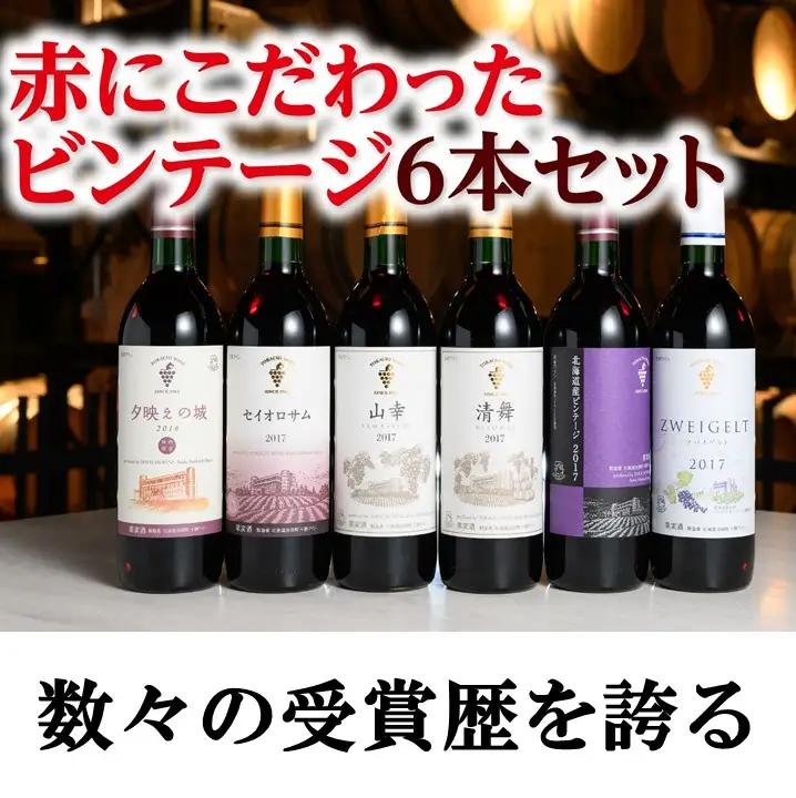 【高評価5.0】十勝ワイン 赤にこだわったビンテージ6本　北海道ワイン 国産ワイン ヴィンテージ ビンテージ 厳選 人気 受賞