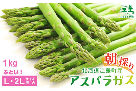 【夏芽 予約受付 6月中旬～順次出荷】2025年 北海道江差町産 アスパラガス【L～2Lサイズ】 1kg　約20本　太い！ 甘い！ ジューシー！　朝採り　農家直送　新鮮　鮮度保持　北海道　旬野菜　グリーンアスパラ　アスパラ　ギフト　贈答