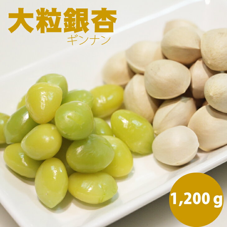 【ふるさと納税】【先行予約】 大粒 銀杏（1,200g） ぎんなん 季節 旬の食材 【B110-031】