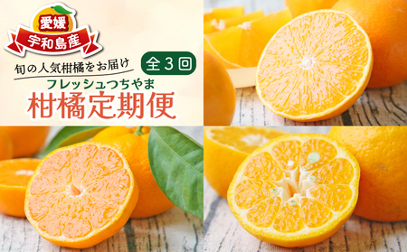柑橘定期便 全3回 みかん定期便 家庭用 吉田みかん 愛果28号 ポンカン フレッシュつちやま 季節の柑橘 旬 愛媛みかん 愛媛蜜柑 愛媛ミカン 温州みかん 温州 果物 くだもの フルーツ 柑橘 みかん mikan 産地直送 数量限定 国産 愛媛 宇和島 B036-096017