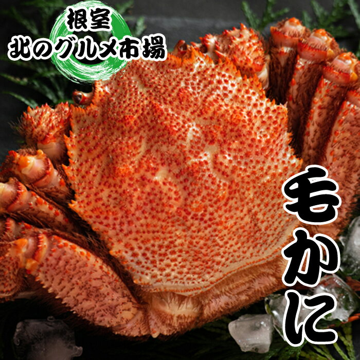 【ふるさと納税】 毛かに 400g 前後 ~ 550g 前後 × 6 尾 毛ガニ 毛蟹 けがに ケガニ かに カニ 蟹 お取り寄せ グルメ 海鮮 ボイル 茹で蟹 茹でがに 茹でガニ 北海道 根室市 ふるさと納税 E-76004