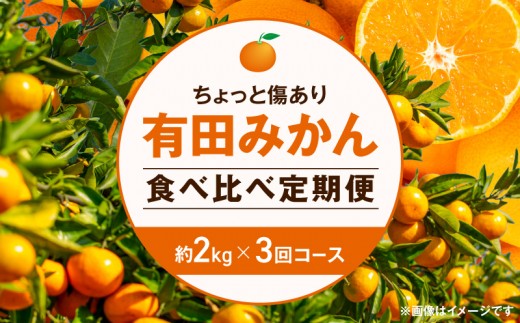 
                  【定期便】(2026年10月発送スタート)【ちょっと傷あり 約2kg × 3回コース】有田みかん・食べくらべ 3種【南泰園】_ZF6301n
                