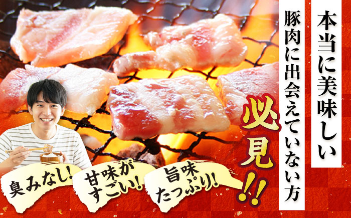 【6回定期便】五島美豚焼肉1kg（ロース500g バラ500g） 五島市/ごとう農業協同組合[PAF011] 