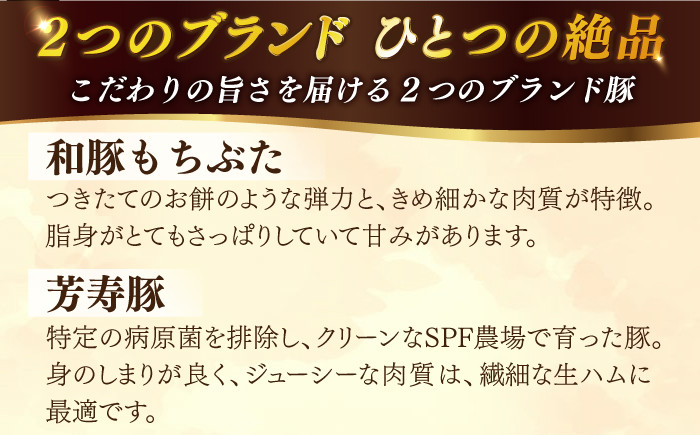 サラミ おつまみ  しろかび  濃縮 記念日 ギフト 贈り物 プレンゼント 燻製　