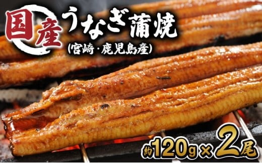 『北御門』うなぎ蒲焼2尾入 うなぎ 鰻 ウナギ 蒲焼 かばやき うな重 うな丼 ひつまぶし 冷凍