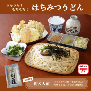【のし付き】はちみつうどん500g×3袋 約8人前(半生うどん)【1430845】