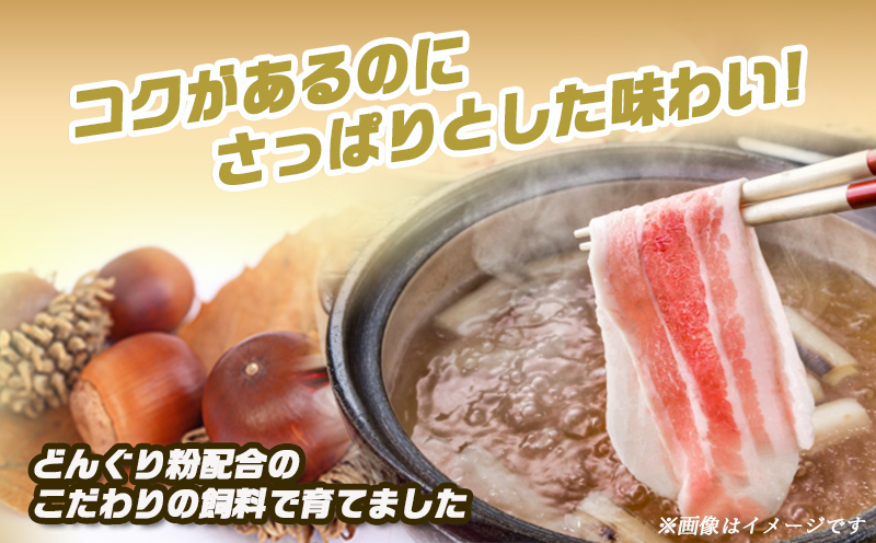 【母の日】「どんぐりの恵み豚」真空しゃぶしゃぶ2.7kgセット≪5月8日～11日お届け≫_17-1102-MG