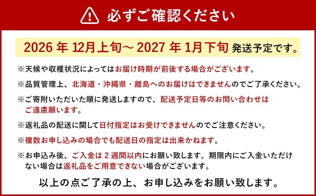 今季初採れあまおう2パック【数量限定】 あまおう いちご イチゴ 苺 果物 くだもの フルーツ【2026年12月上旬～2027年1月下旬発送予定】