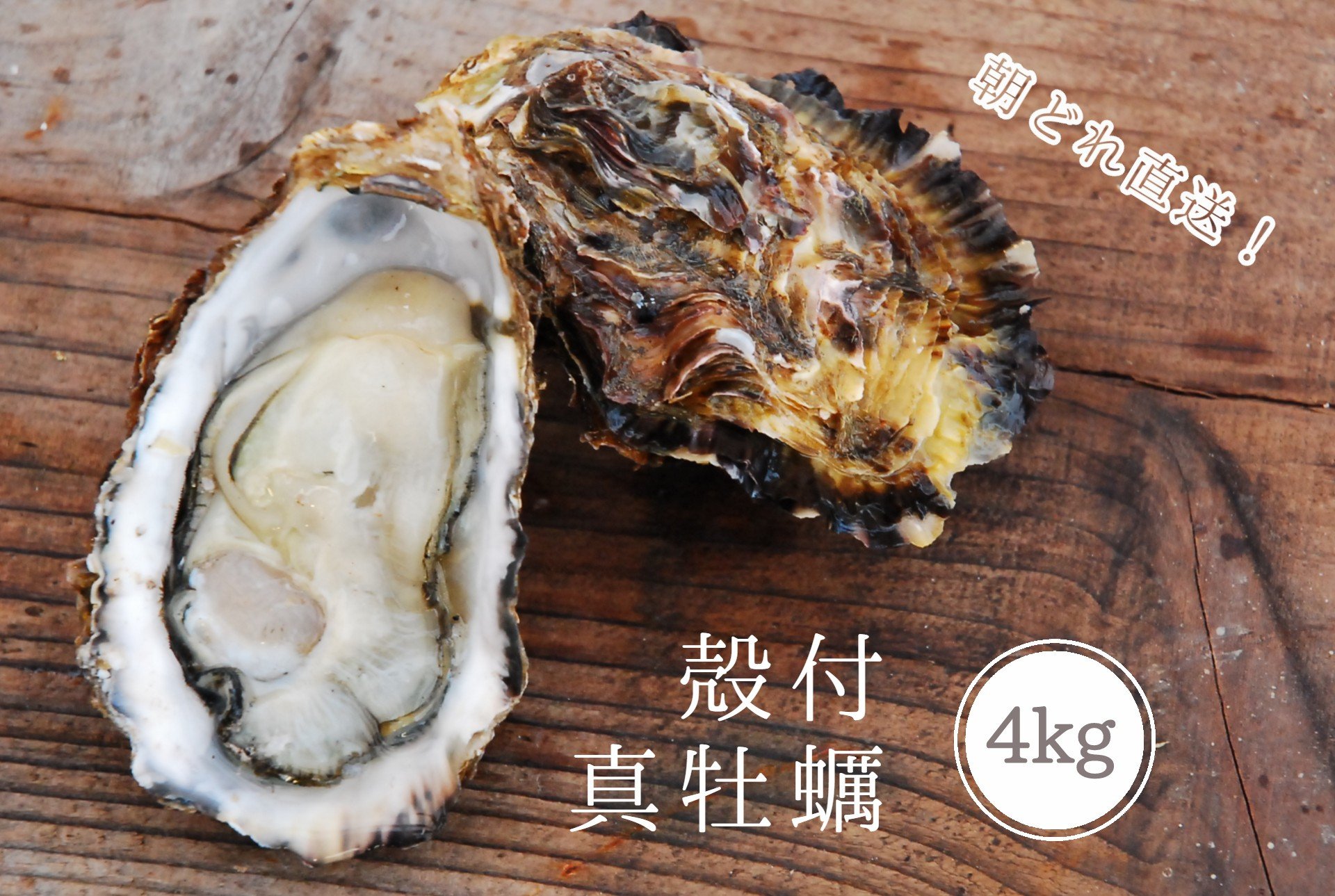 
            【2026年2月下旬頃発送開始】殻付き 養殖 真牡蠣 4kg 加熱用 朝どれ直送！先行予約 岡山八朗兵衛商店 : 二枚貝 牡蠣 かき オイスター 殻付き牡蠣 生牡蠣 活牡蠣 カキ 海鮮 魚介 海産物 海の幸 漁師直送 ナイフ付き
          