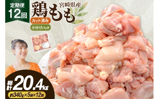 鶏肉 12回 定期便 もも 切身 340g 5袋 1.7kg 計20.4kg [南九フーズ 宮崎県 日向市 452061723] もも肉 冷凍 国産 カット 小分け ふるさと納税 鶏 とり肉 鳥肉 鶏もも 鶏もも肉 モモ 真空包装 個包装 お弁当 時短 カット済 定期 宮崎 宮崎県産 夕飯