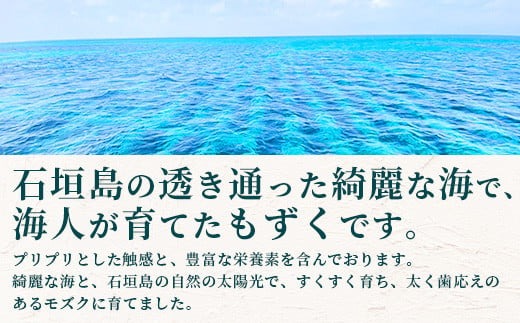 石垣島産 海人の味付け海雲(もずく) 3kg （250g×12） KS-02