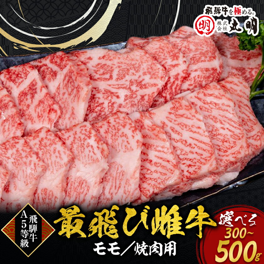 【ふるさと納税】【最飛び雌牛】飛騨牛A5等級モモ焼き肉用　300g/400g/500g_ 肉 お肉 ブランド牛 和牛 飛騨牛 雌牛 A5 A5等級 牛モモ肉 やきにく 焼肉 焼肉用 牛脂付 岐阜県 養老町 冷凍 送料無料 【配送不可地域：離島】【G1520154】