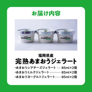 【ICHIGOYA】福岡県産 完熟あまおう ジェラート(アイス) 3種×2個(計6個) レアチーズ！ミルク！ヨーグルト！_ICHIGOYA 福岡県産 完熟 あまおう ジェラート アイス 3種 × 2個