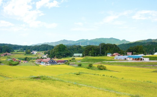 島根県飯南町産コシヒカリ(2kg×1袋)【お米 白米 玄米】