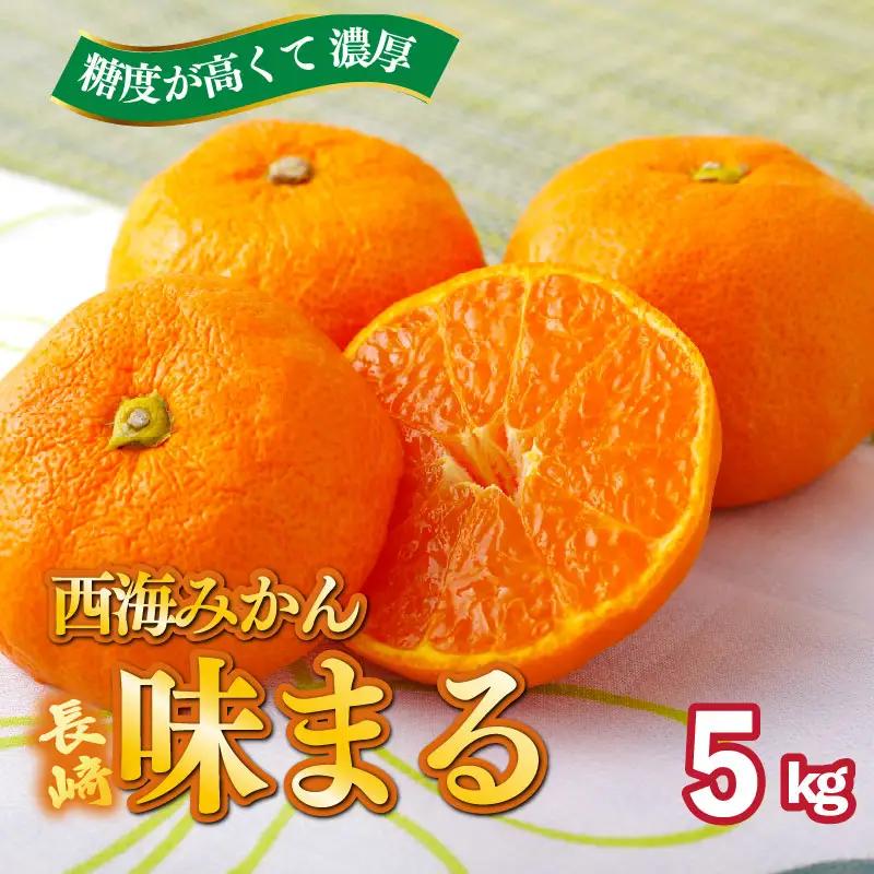 【 早期受付 】西海みかん 味まる 5kg 糖度12度以上 ブランドみかん 佐世保 